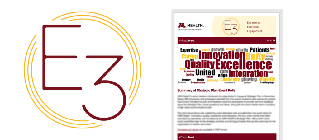 University Of Minnesota Health Internal Newsletter E3