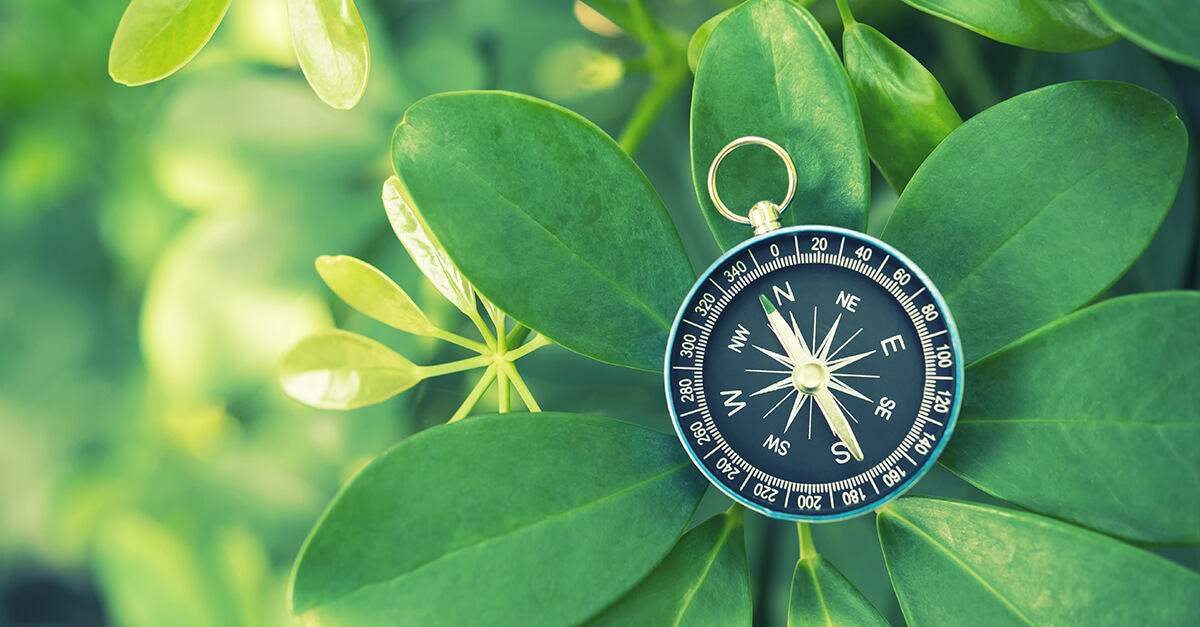 A compass on green leaves.